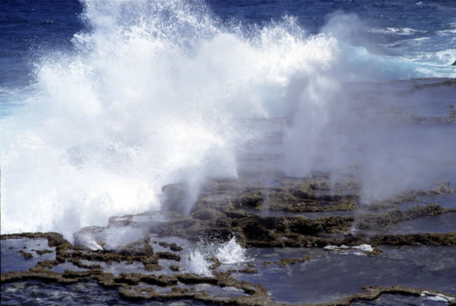 Heiße Quellen - blowholes, Tonga