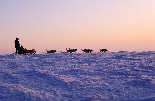 Husky Safari, Finnland