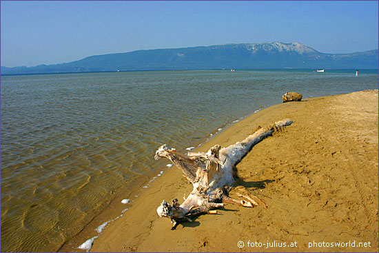 Dalmatia, Neretva Delta, Kroatien