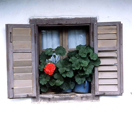 Pityerszer Fenster, Ungarn