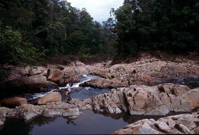 Endau Rompin Nationalpark Endau Rompin Nationalpark, Malaysia