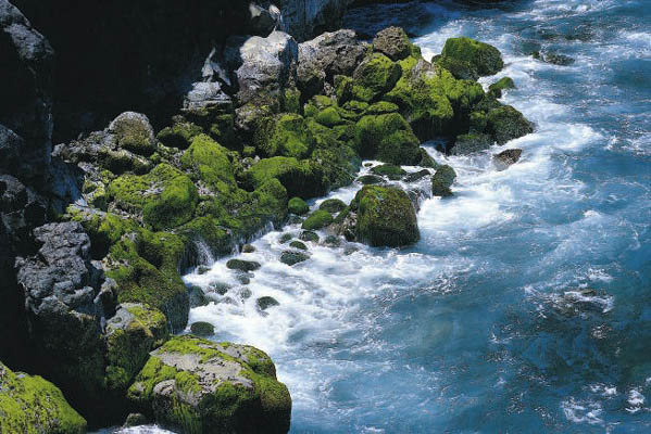 Südküste, Mauritius