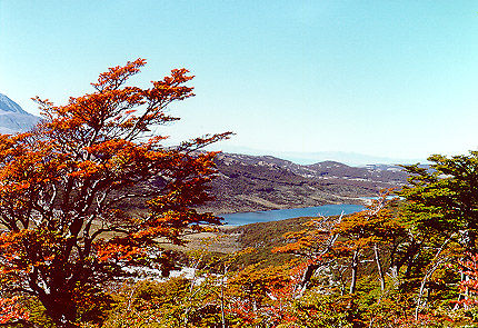 Herbststimmung, Patagonien