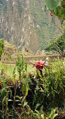 Machu Picchu, Peru