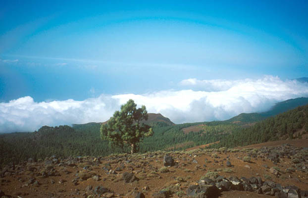 Impressionen, La Palma, Kanarische Inseln