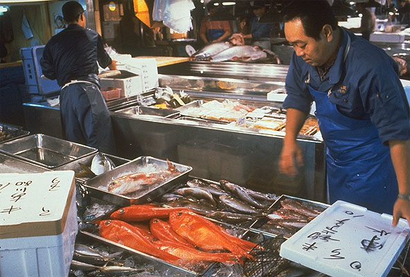 Tokio, Tsukiji-Fischmarkt, Japan