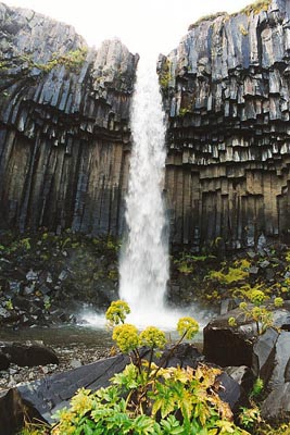 Svartifoss in Skaftafell National Park, Island