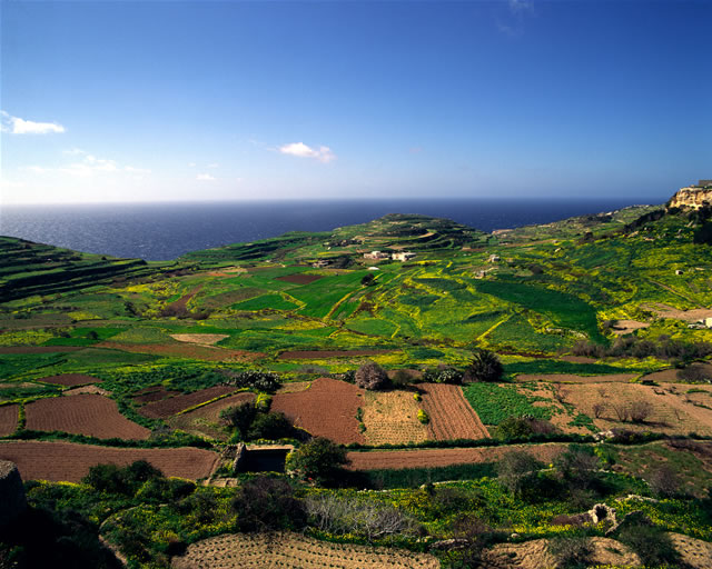 landwirtschaftliche Flächen, Malta