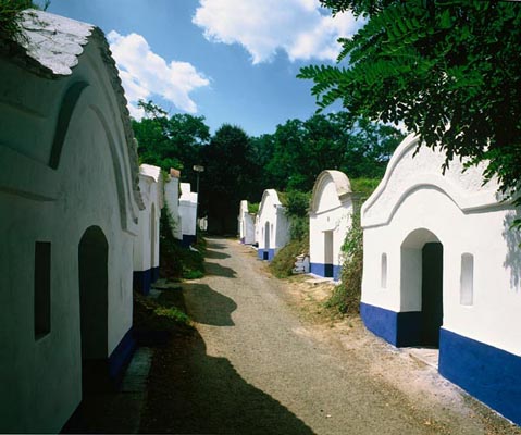 Wine cellars, South Moravia, Tschechien