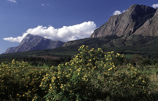 Mulanje-Massiv