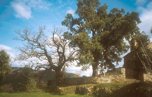 Pyrenäen - Frankreich