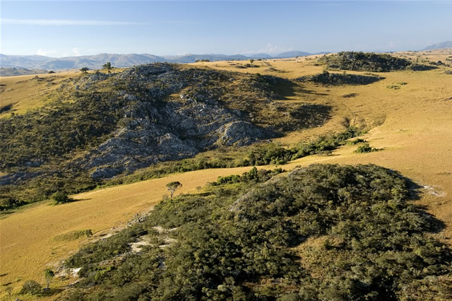 Buschland an der Grenze zu Sambia