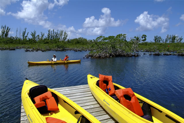 Grand Bahama Island - Kayak Nature Tours, Bahamas