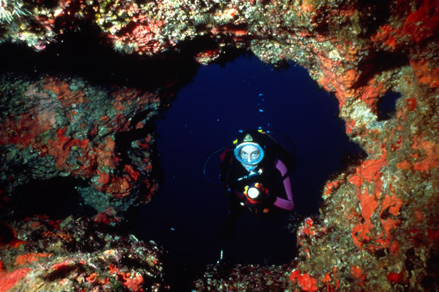 Tauchen - Diving, Malta