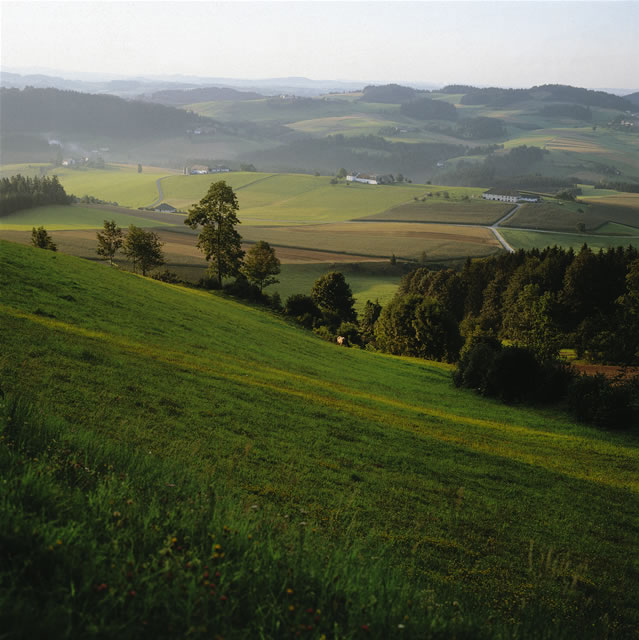 Oberösterreich - Landschaft im Mühlviertel bei Afiesl [Trumler], Österreich