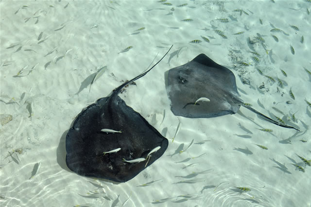 Exuma, Bahamas