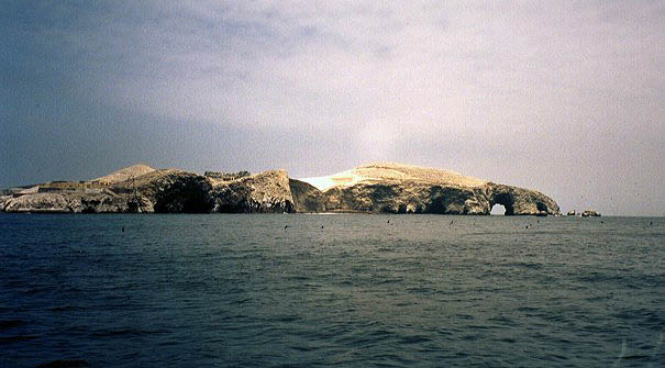 Inseln von Ballestas, Peru