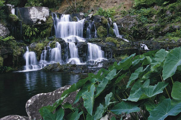 Rochester Falls, Mauritius