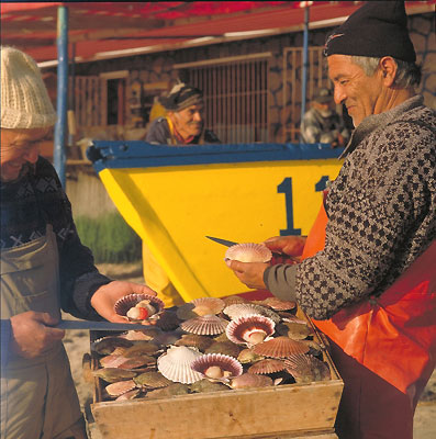 Pescadores Artesanales, Chile