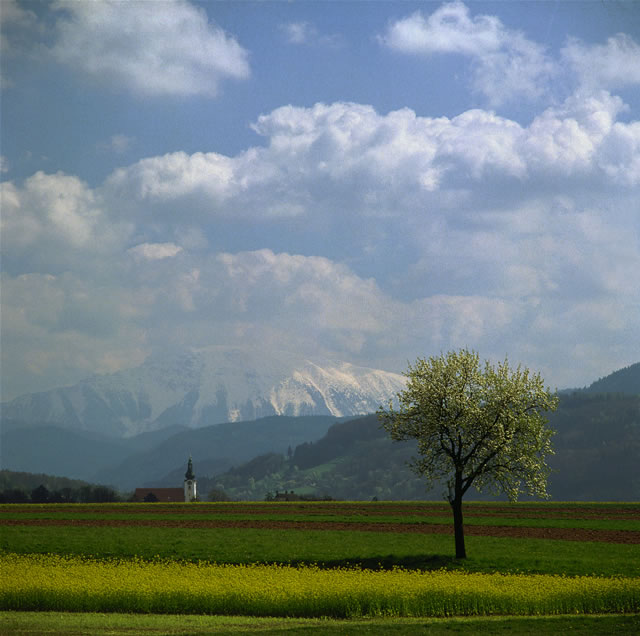 Niederösterreich - Ötscherland bei Wieselburg [Trumler], Österreich