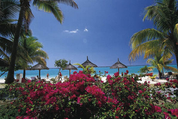 Strand mit Bougainvillea, Mauritius