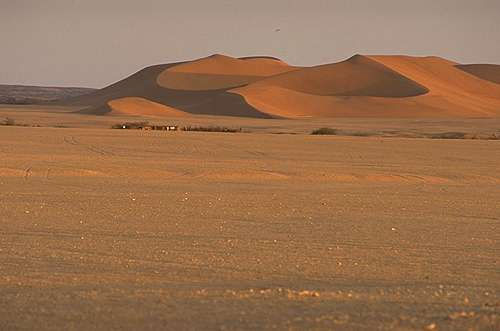Dünen bei Rooiband - Dünennamib, Namibia