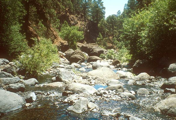 La Caldera, La Palma, Kanarische Inseln