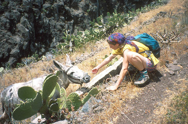 Impressionen, La Gomera, Kanarische Inseln