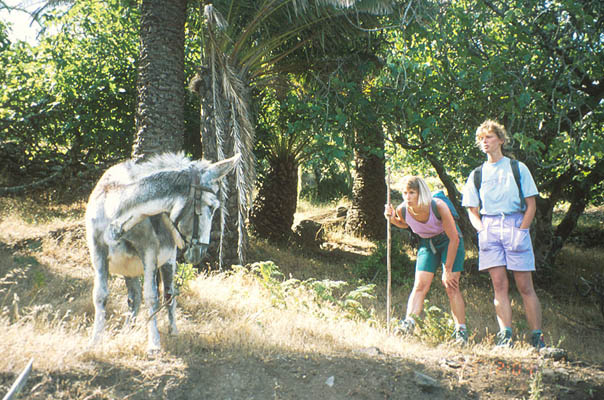 Impressionen, La Gomera, Kanarische Inseln