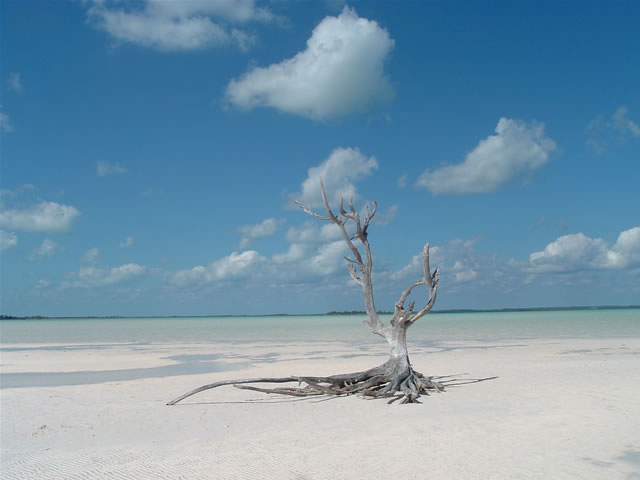 Harbour Island, Bahamas