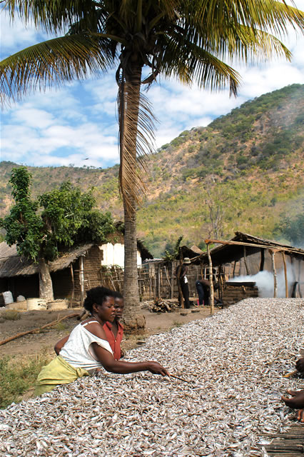 Ein Dorf in Zentral-Malawi