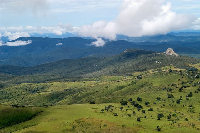 Grüne Hügel des Nyika-Plateaus